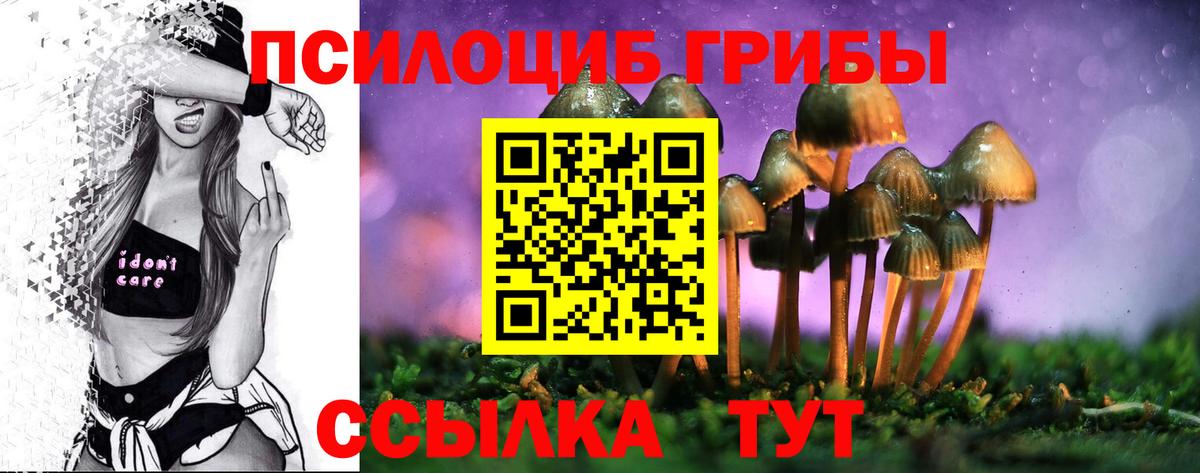 Псилоцибиновые грибы GOLDEN TEACHER Унеча
